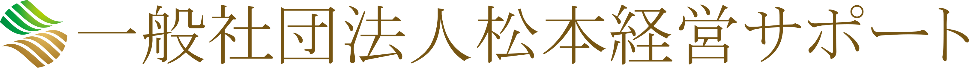 一般社団法人松本経営サポート